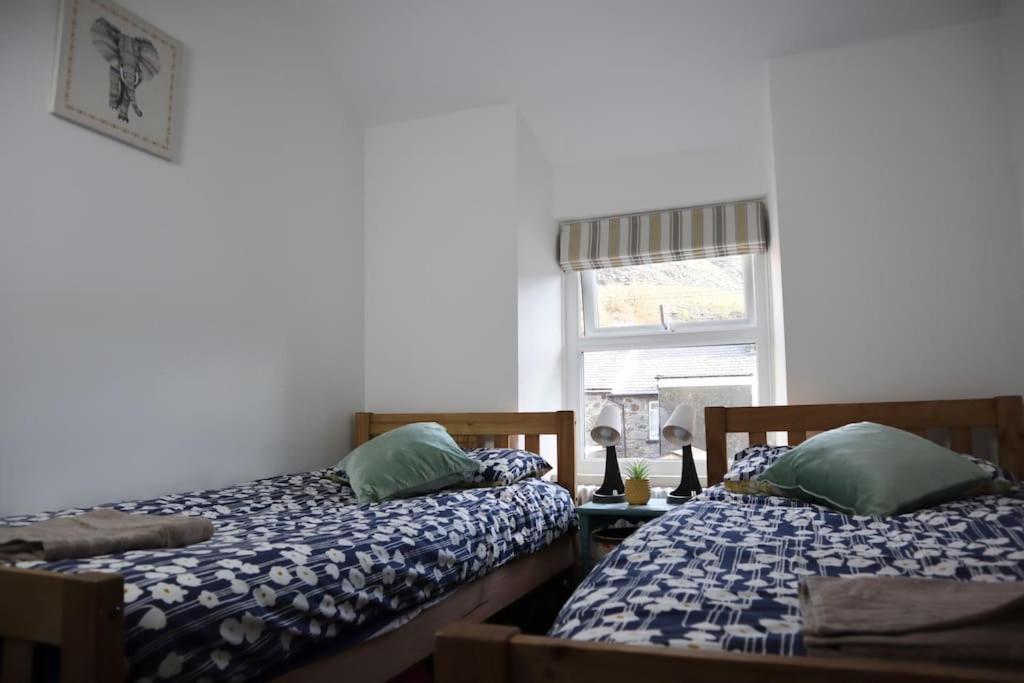 Dol Bach - Your Homely Welsh Cottage In The Heart Of Snowdonia Блайнай-Фестиниог Экстерьер фото